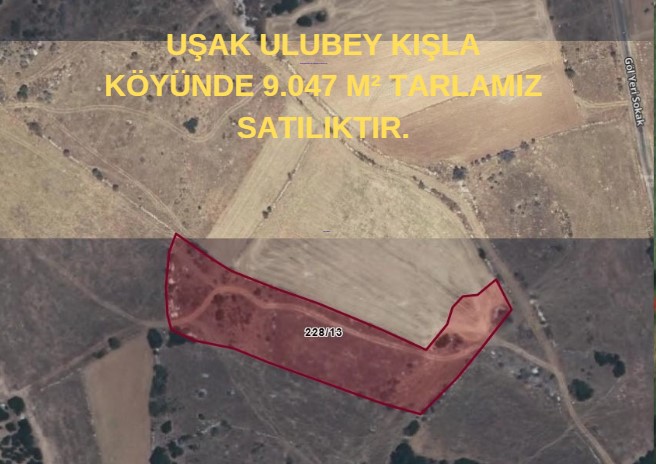 UŞAK ULUBEY KIŞLA KÖYÜNDE 9.047 M² TARLAMIZ SATILIKTIR. - UŞAK ULUBEY fotoğraf 6
